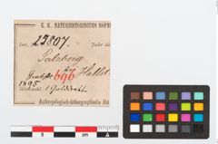 Etikett zu Goldspiralring (NHMW-PRAE-025807)